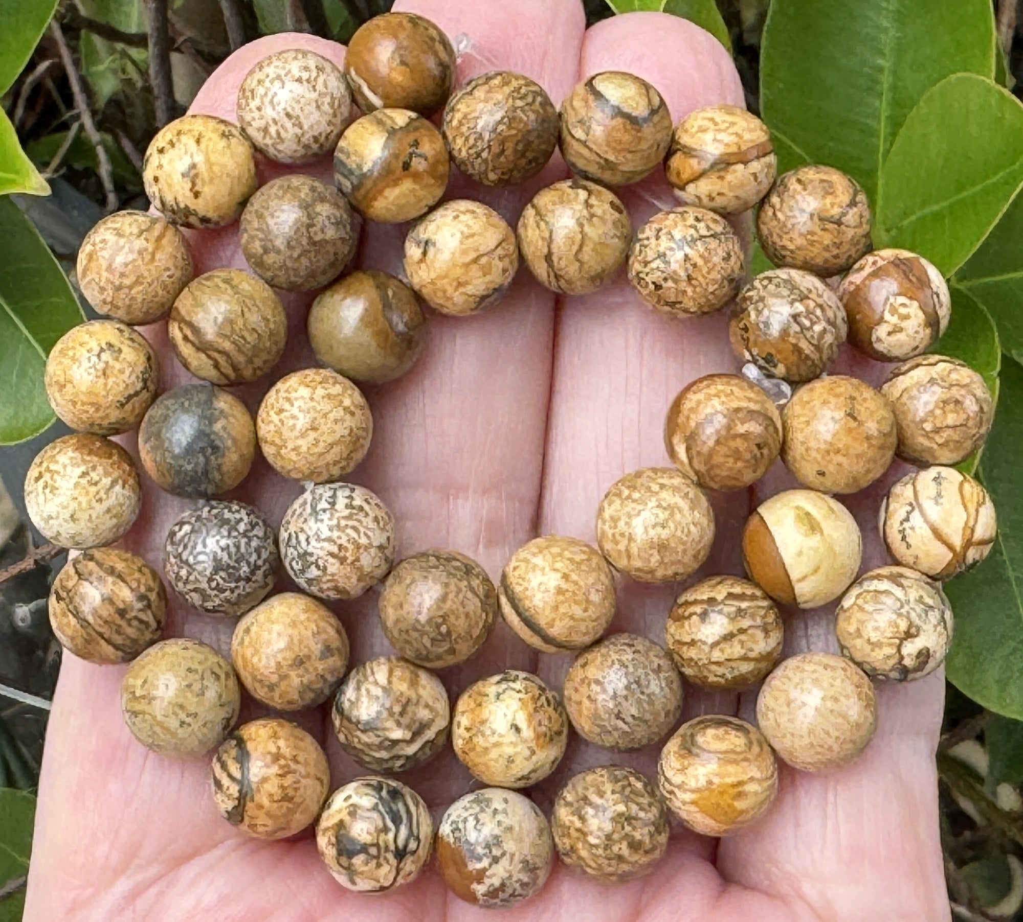 Picture Jasper polished 8mm round gemstone beads 15.5" strand