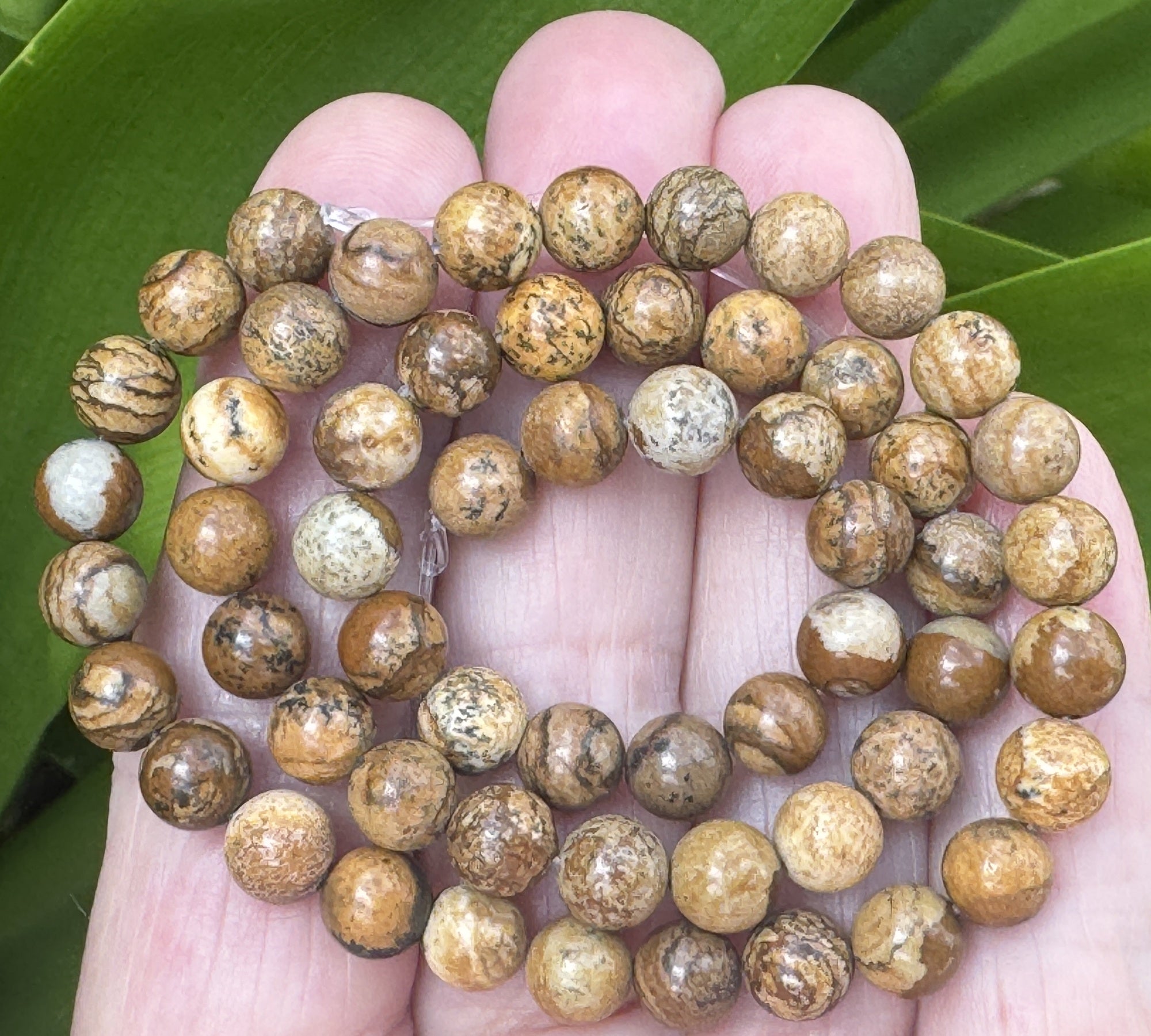 Picture Jasper polished 6mm round gemstone beads 15" strand
