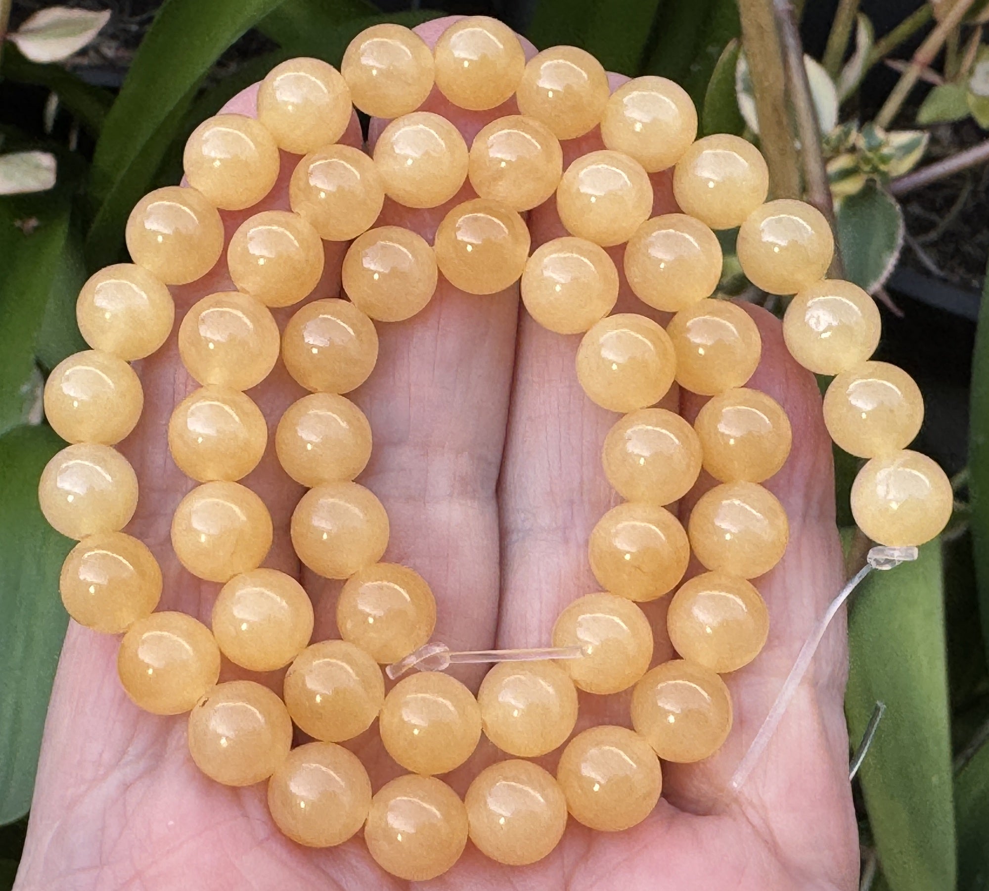 Yellow Honey Jade 8mm round natural gemstone beads 16" strand - Oz Beads 