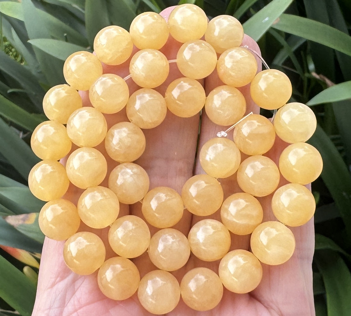 Yellow Honey Jade 10mm round natural gemstone beads 15" strand