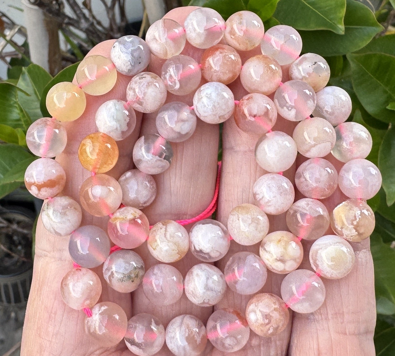 Pink Sakura Agate 8mm round natural gemstone beads 15.5" strand