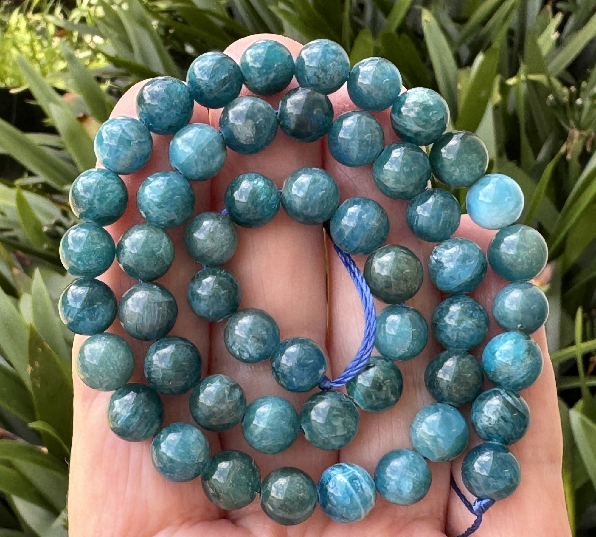Apatite 8mm round natural gemstone beads 15" strand - Oz Beads 
