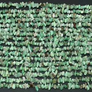 Australian Chrysoprase 6-12mm chip nugget beads natural gemstone chips 16" strand - Oz Beads 