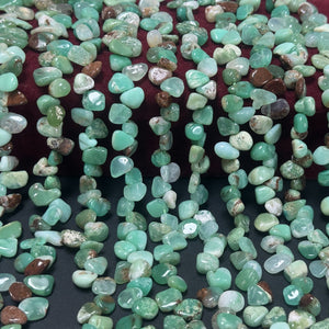 Australian Chrysoprase 8-12mm top side drilled free-form natural gemstone beads 16" strand - Oz Beads 