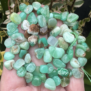 Australian Chrysoprase 8-12mm top side drilled free-form natural gemstone beads 16" strand - Oz Beads 