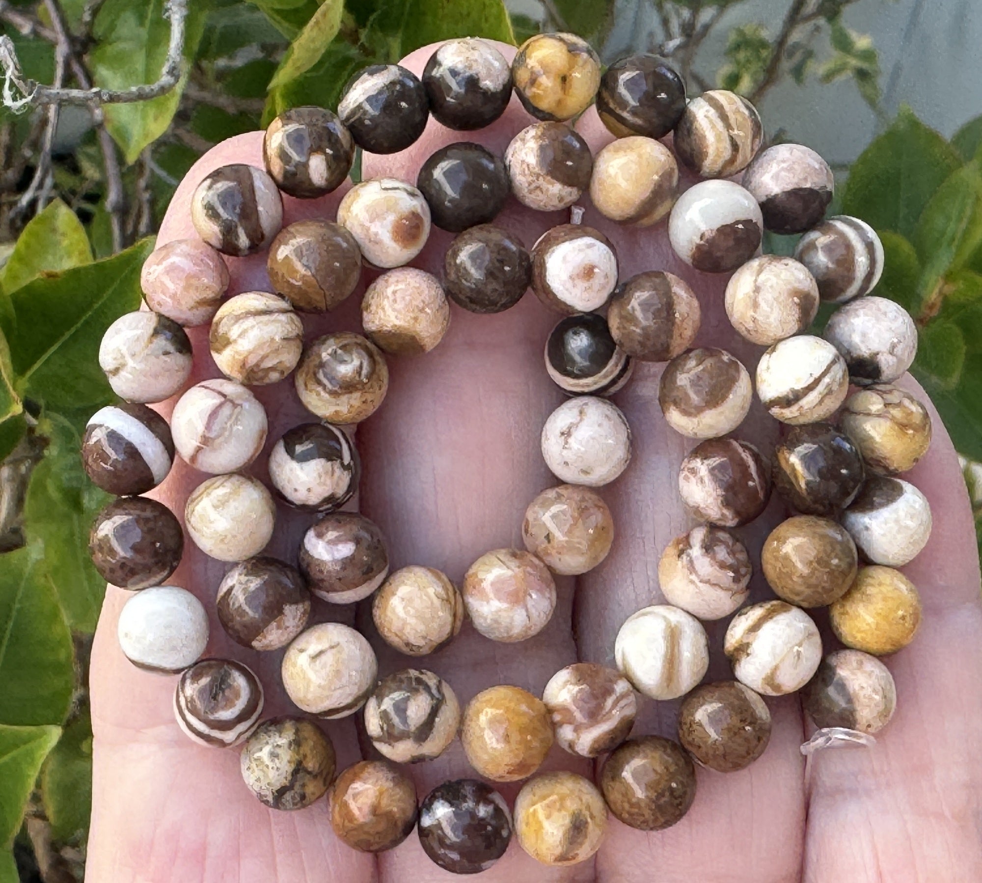 Australian Zebra Jasper 6mm round natural gemstone beads 15" strand - Oz Beads 