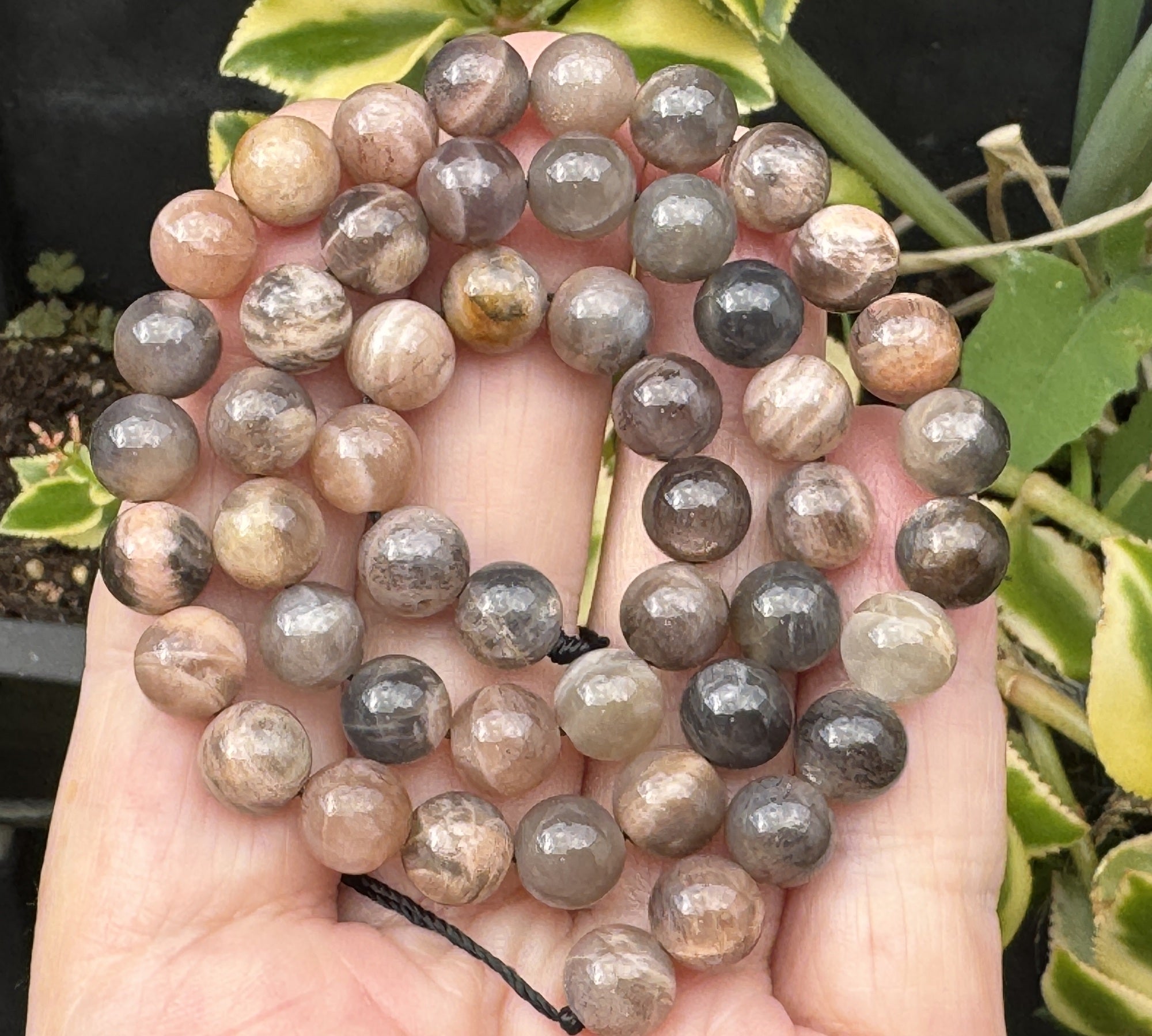 Black Sunstone 8mm round gemstone beads 15.5" strand - Oz Beads 