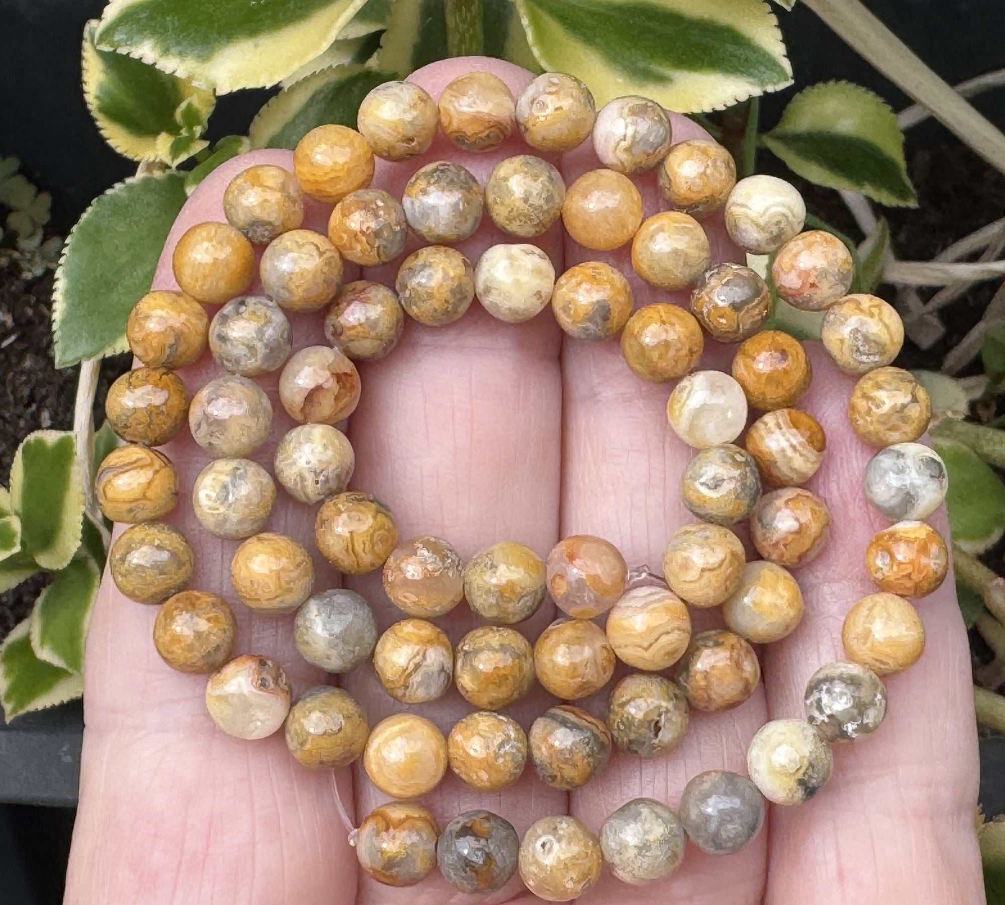 Crazy Lace Agate 6mm round natural gemstone beads 15" strand - Oz Beads 