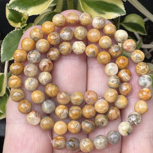 Crazy Lace Agate 6mm round natural gemstone beads 15" strand - Oz Beads 