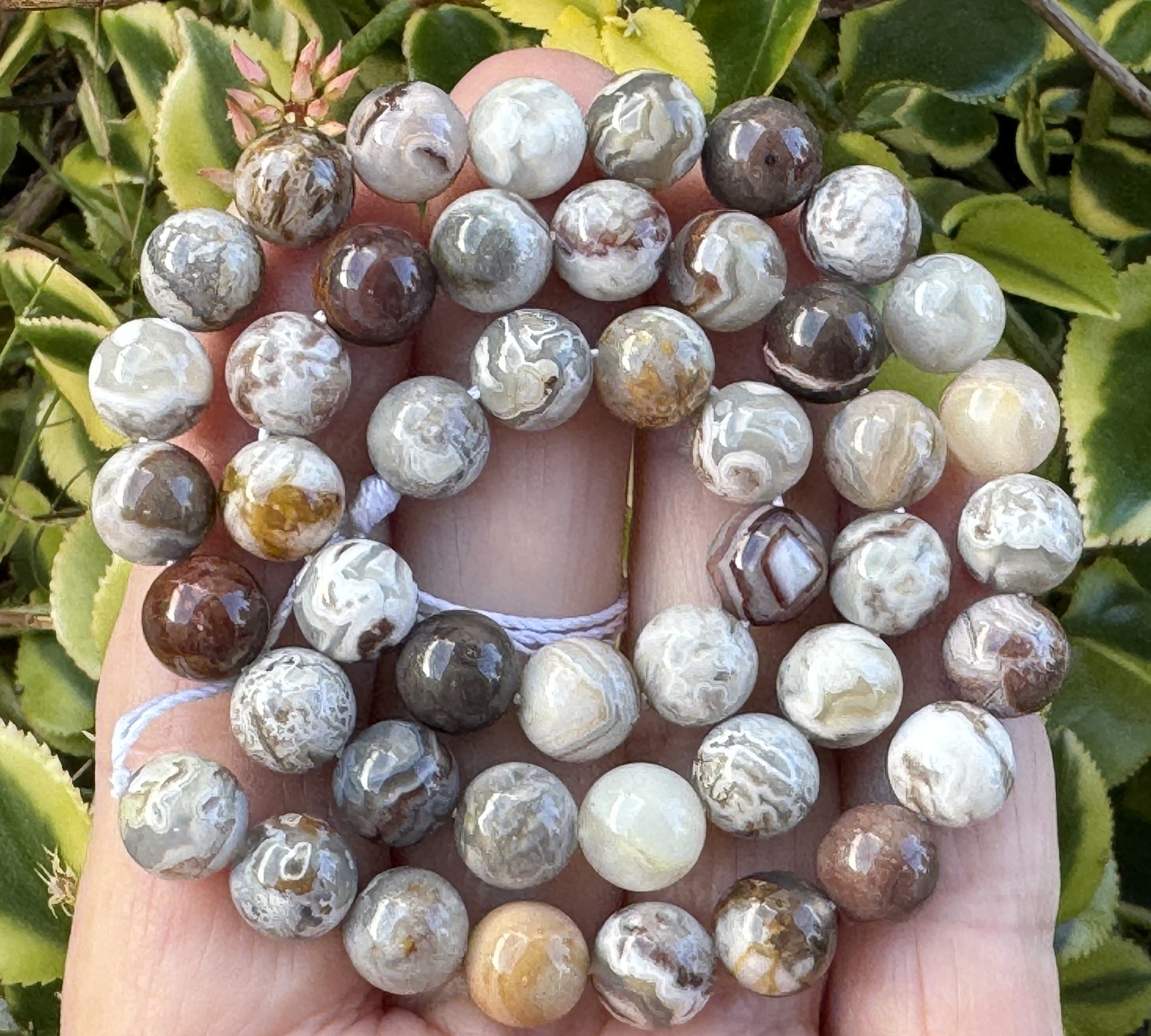 Mexican Laguna Lace Agate 8mm round natural gemstone beads 15.5" strand - Oz Beads 