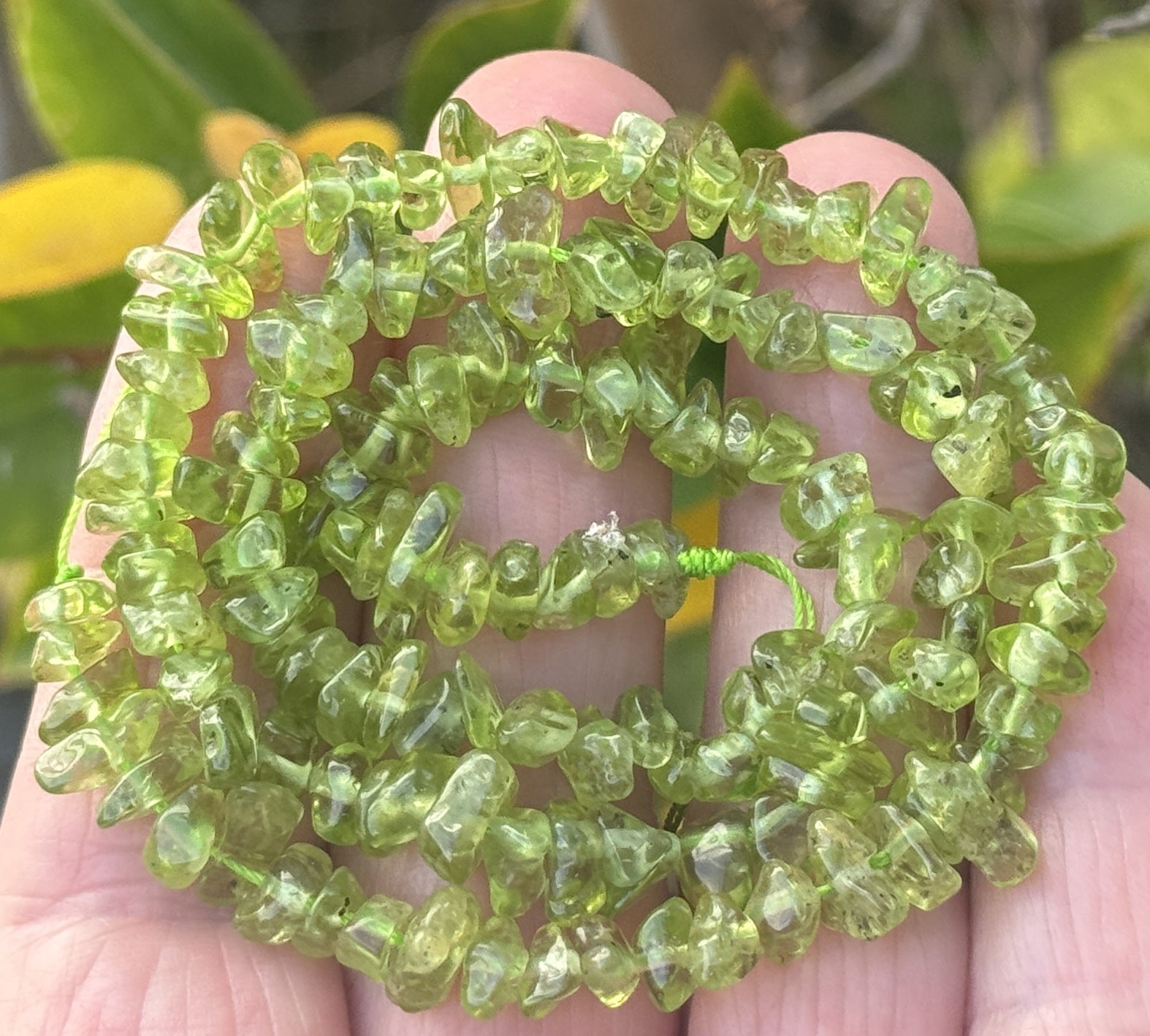 Peridot 5-8mm chip beads natural gemstone chips 40cm strand - Oz Beads 