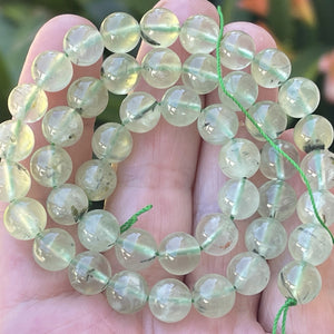 Prehnite 8mm round beads natural gemstones 15.5" strand - Oz Beads 