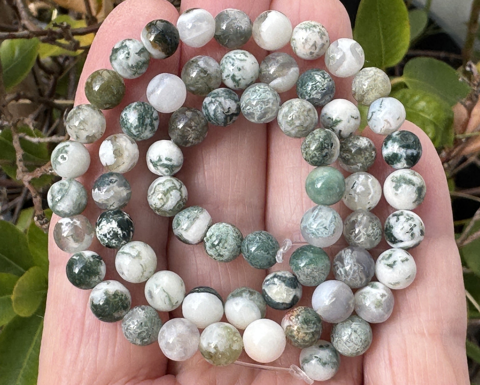 Tree Agate 6mm round natural gemstone beads 15" strand - Oz Beads 
