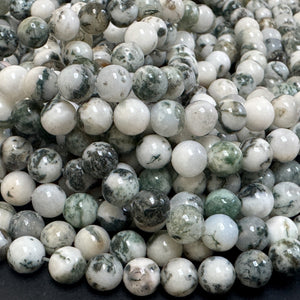 Tree Agate 6mm round natural gemstone beads 38cm strand - Oz Beads 