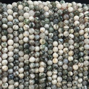 Tree Agate 6mm round natural gemstone beads 38cm strand - Oz Beads 