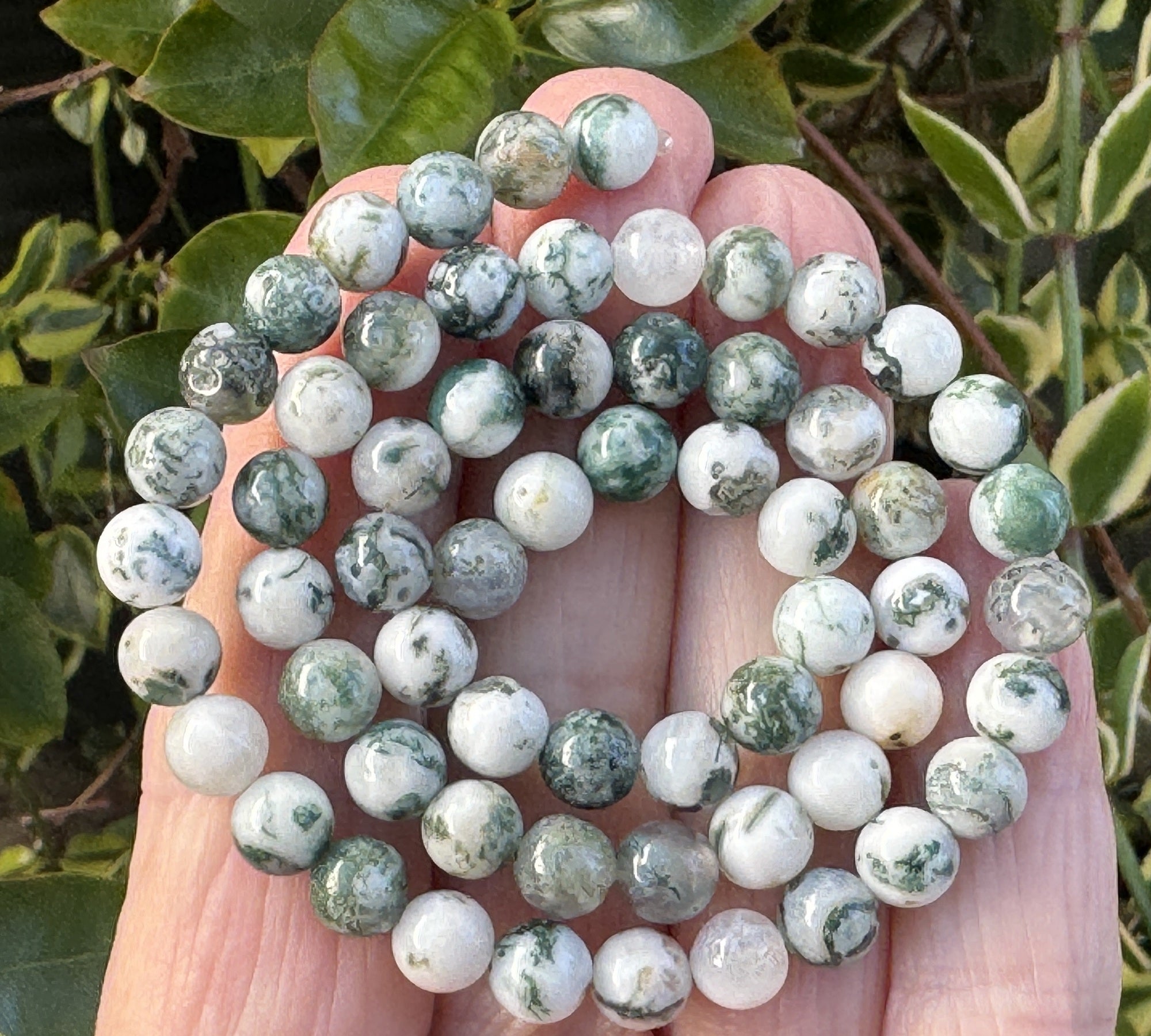 Tree Agate 6mm round natural gemstone beads 38cm strand - Oz Beads 