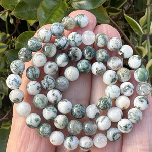 Tree Agate 6mm round natural gemstone beads 38cm strand - Oz Beads 