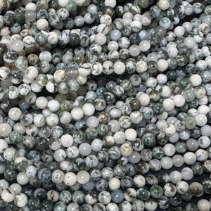 Tree Agate 6mm round natural gemstone beads 38cm strand - Oz Beads 