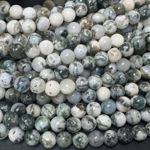 Tree Agate 6mm round natural gemstone beads 38cm strand - Oz Beads 