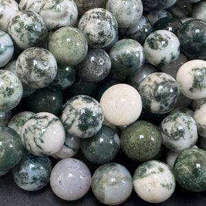 Tree Agate 8mm round natural gemstone beads 39cm strand - Oz Beads 