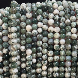 Tree Agate 8mm round natural gemstone beads 39cm strand - Oz Beads 