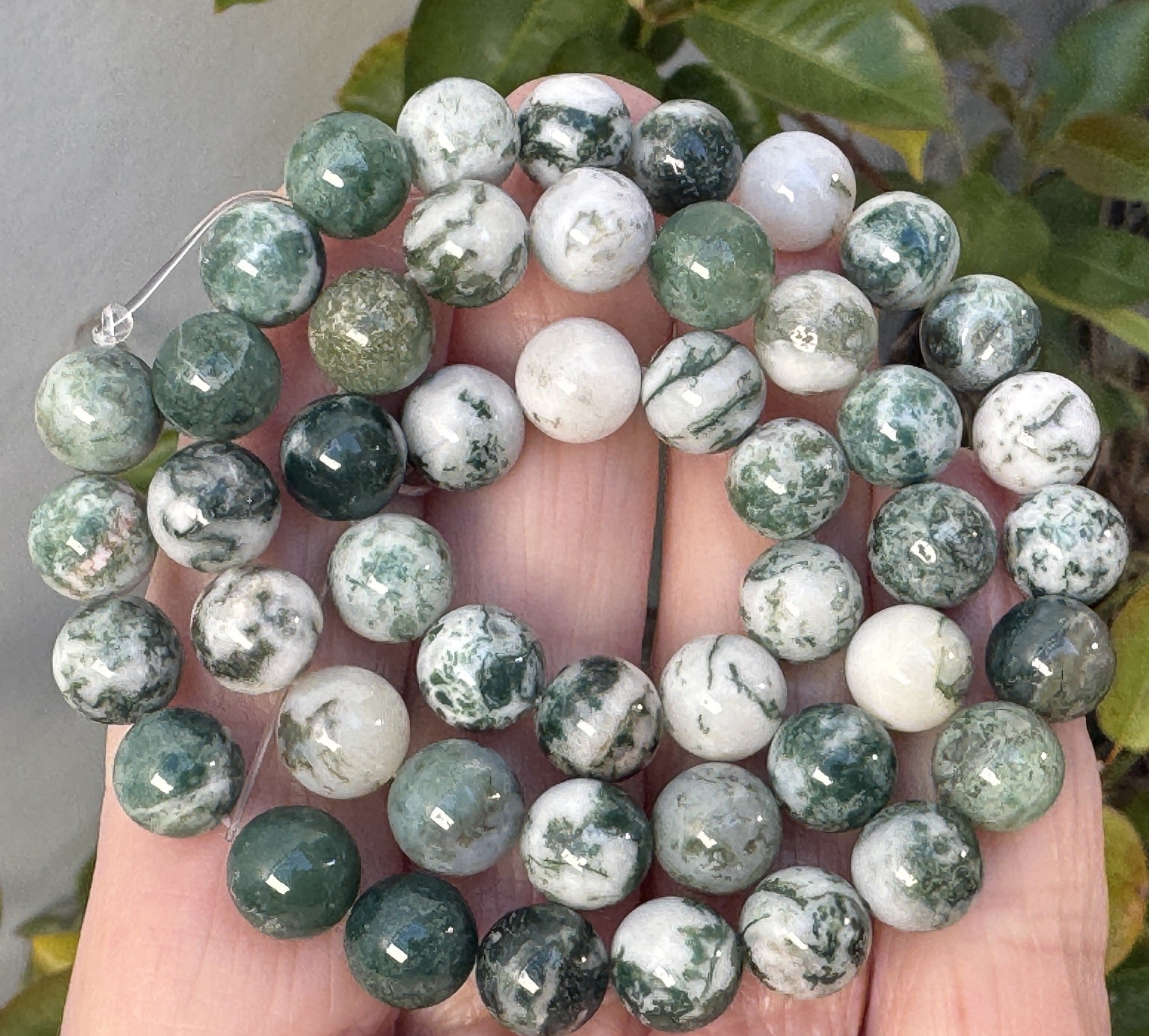Tree Agate 8mm round natural gemstone beads 39cm strand - Oz Beads 