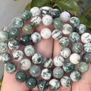 Tree Agate 8mm round natural gemstone beads 39cm strand - Oz Beads 