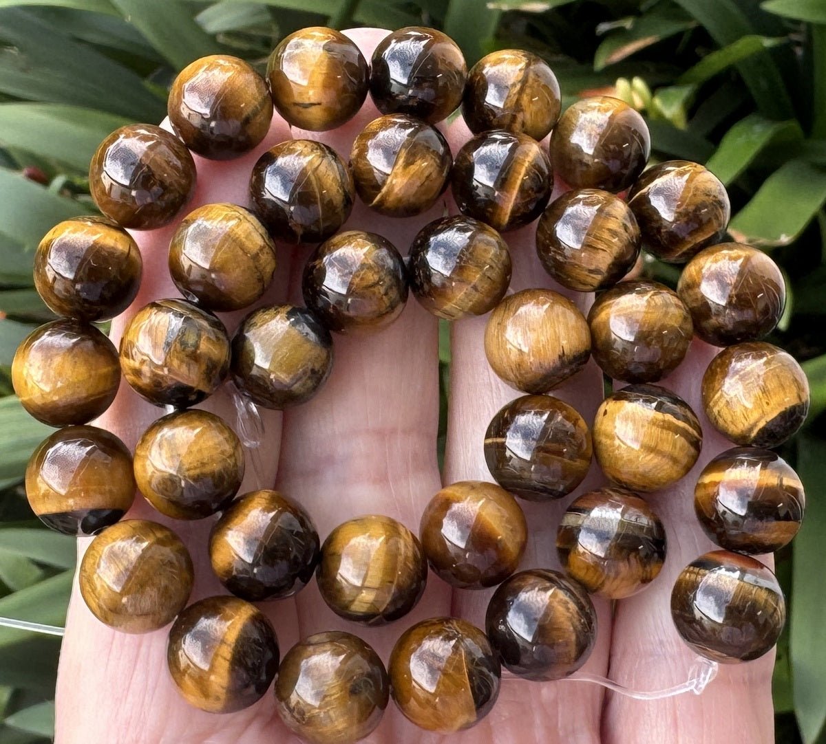 Yellow Tiger Eye 10mm round natural gemstone beads 15" strand - Oz Beads