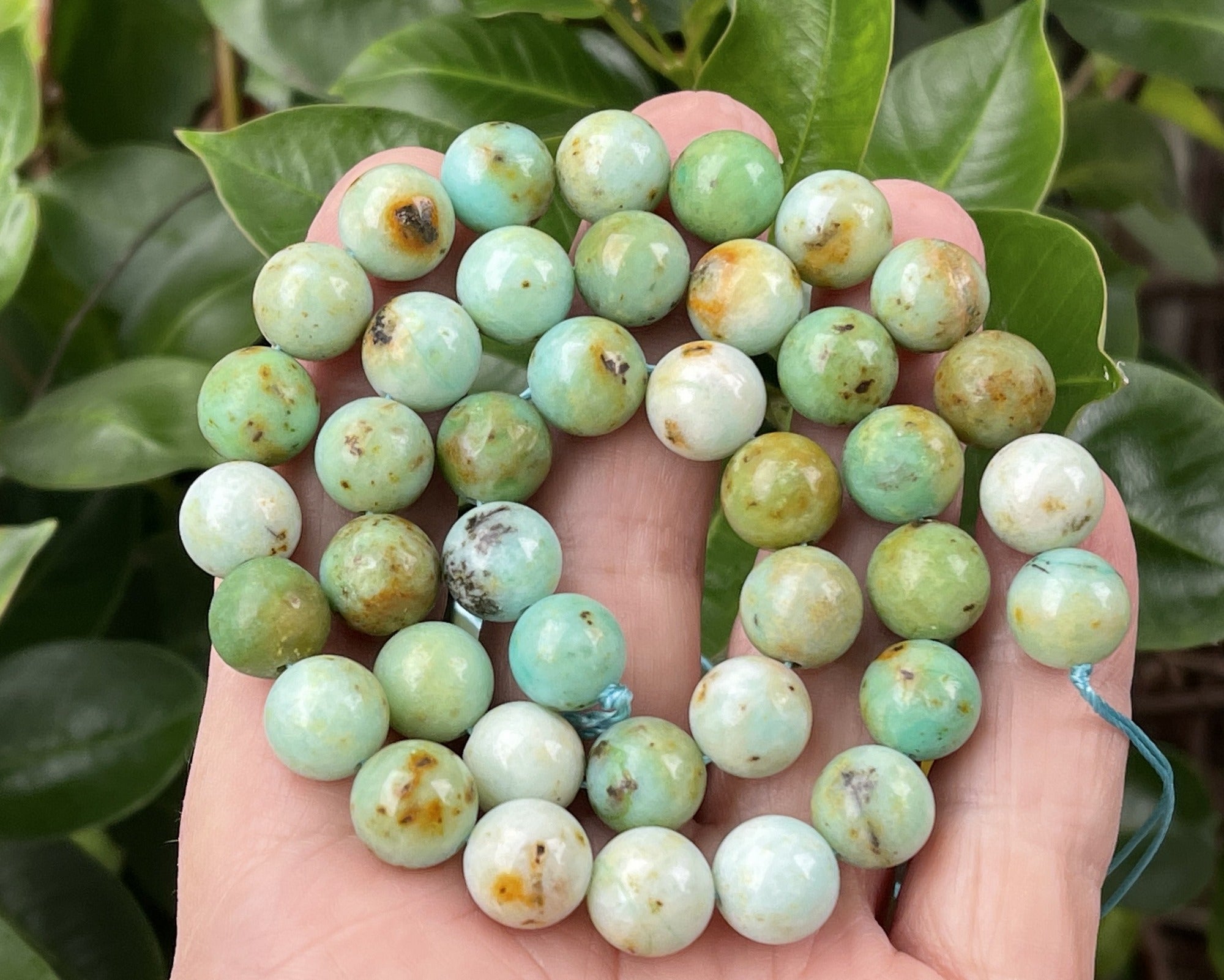 Green Mongolian Turquoise 10mm round natural gemstone beads 15.5" strand