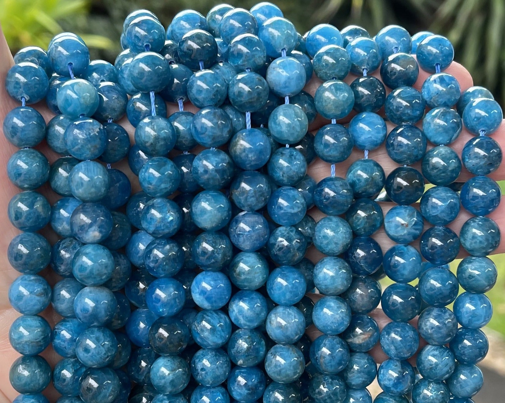 Blue Apatite 10mm round natural gemstone beads 15.5" strand
