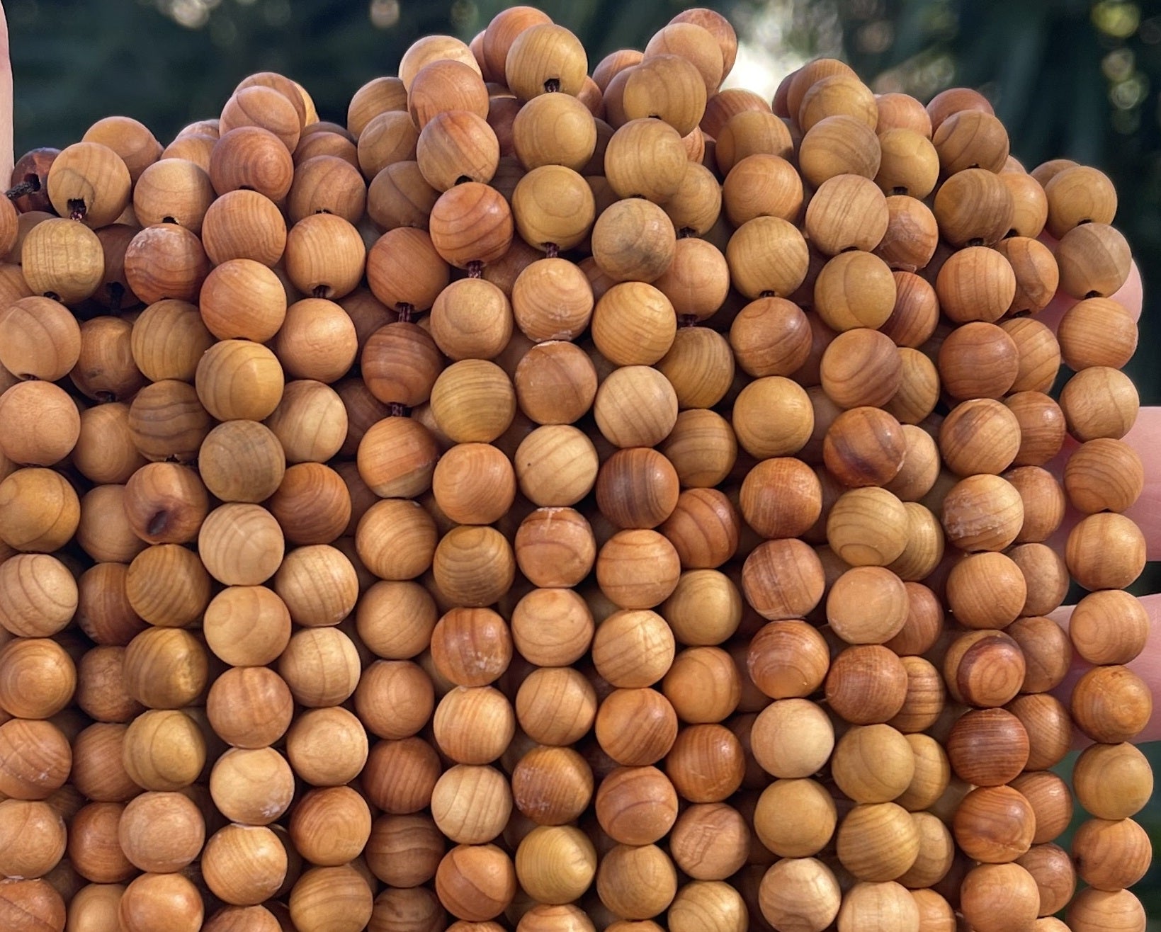 Golden Sandalwood 8mm round natural aromatic wood beads 16" strand - Oz Beads 