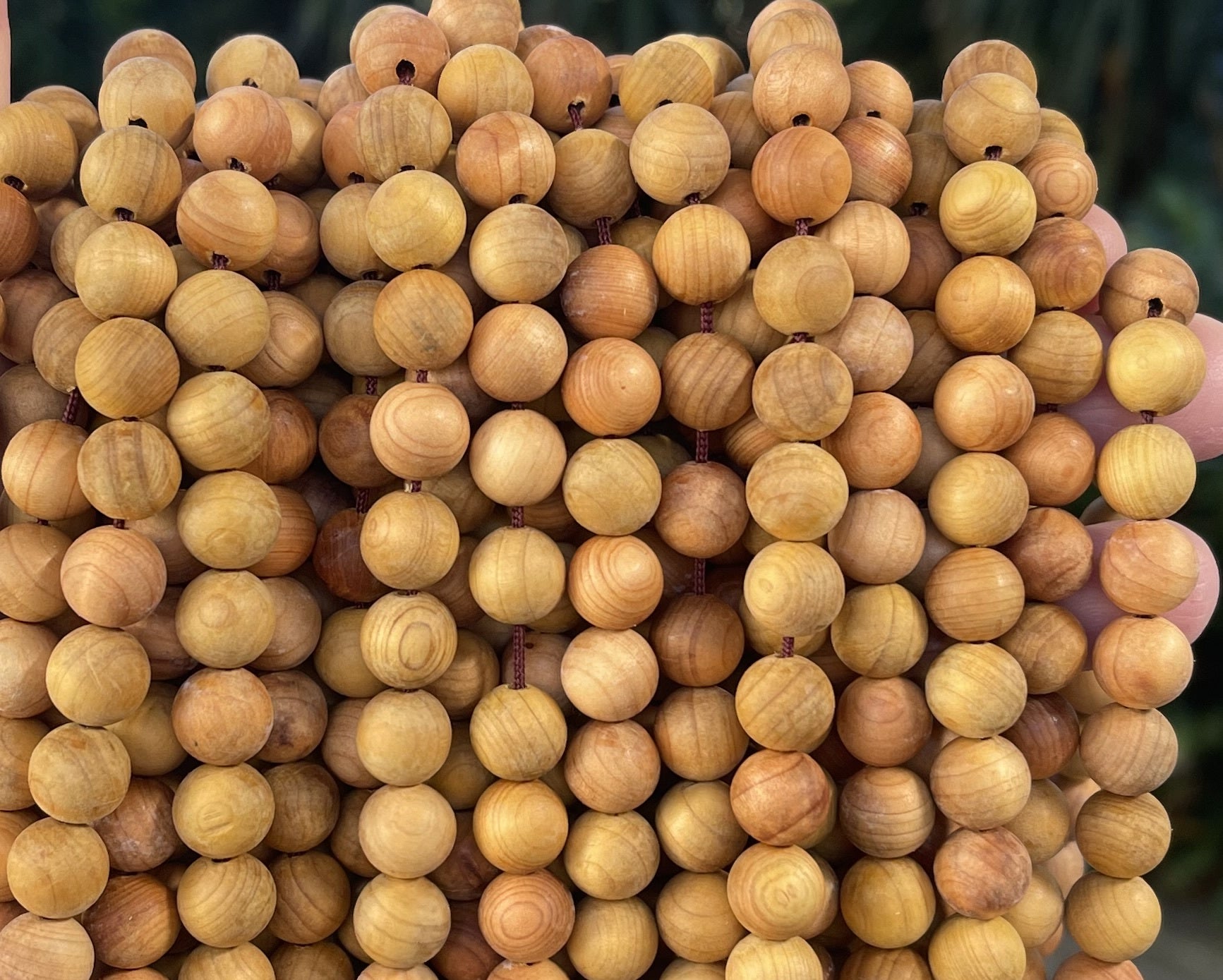 Golden Sandalwood 10mm round natural aromatic wood beads 16" strand - Oz Beads 
