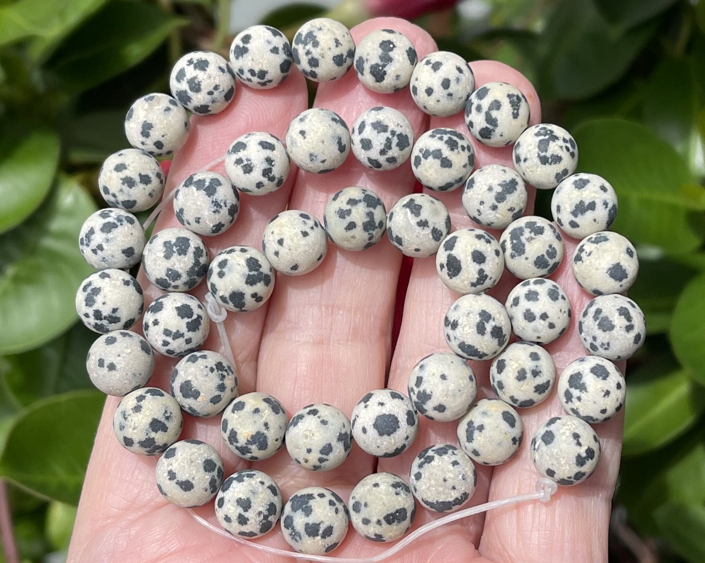 Dalmatian Jasper matte 8mm round natural gemstone beads 15" strand