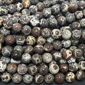 Astroite Jasper 8mm round natural gemstone beads 15.5" strand - Oz Beads 