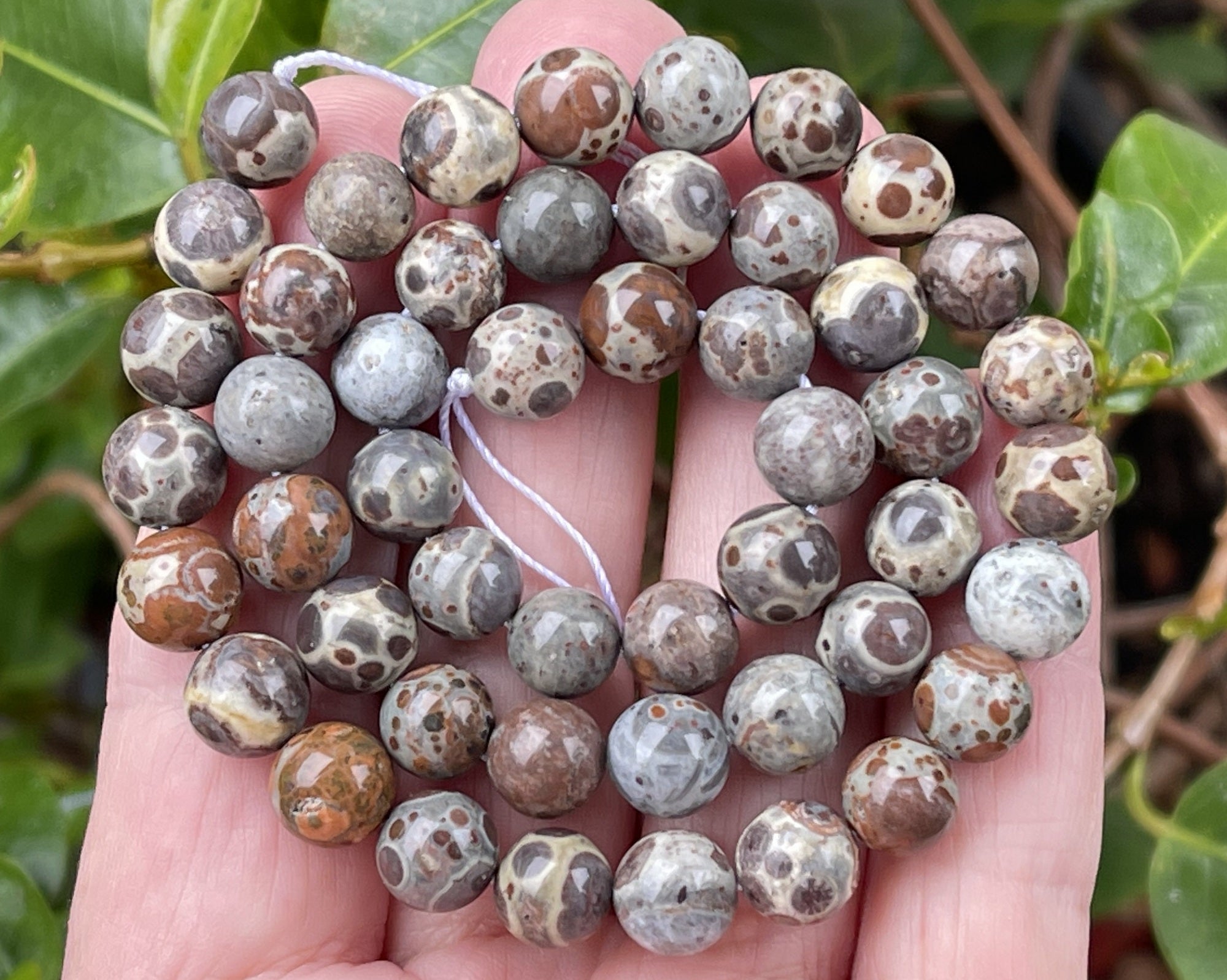 Astroite Jasper 8mm round natural gemstone beads 15.5" strand - Oz Beads 