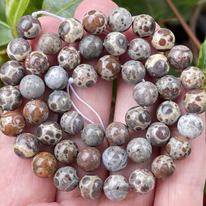 Astroite Jasper 8mm round natural gemstone beads 15.5" strand - Oz Beads 