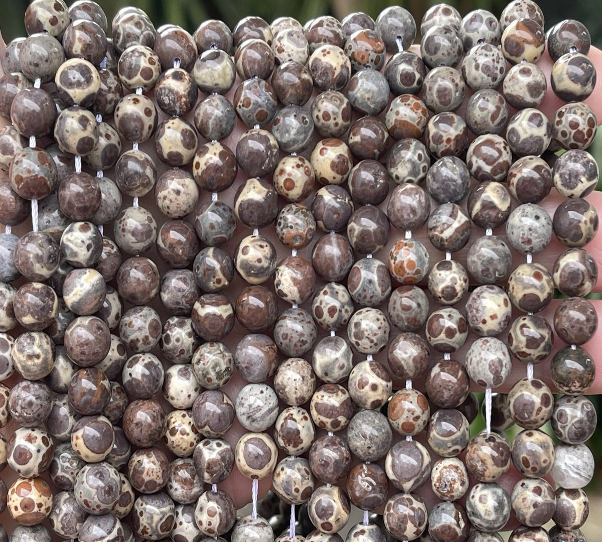 Astroite Jasper 8mm round natural gemstone beads 15.5" strand - Oz Beads 