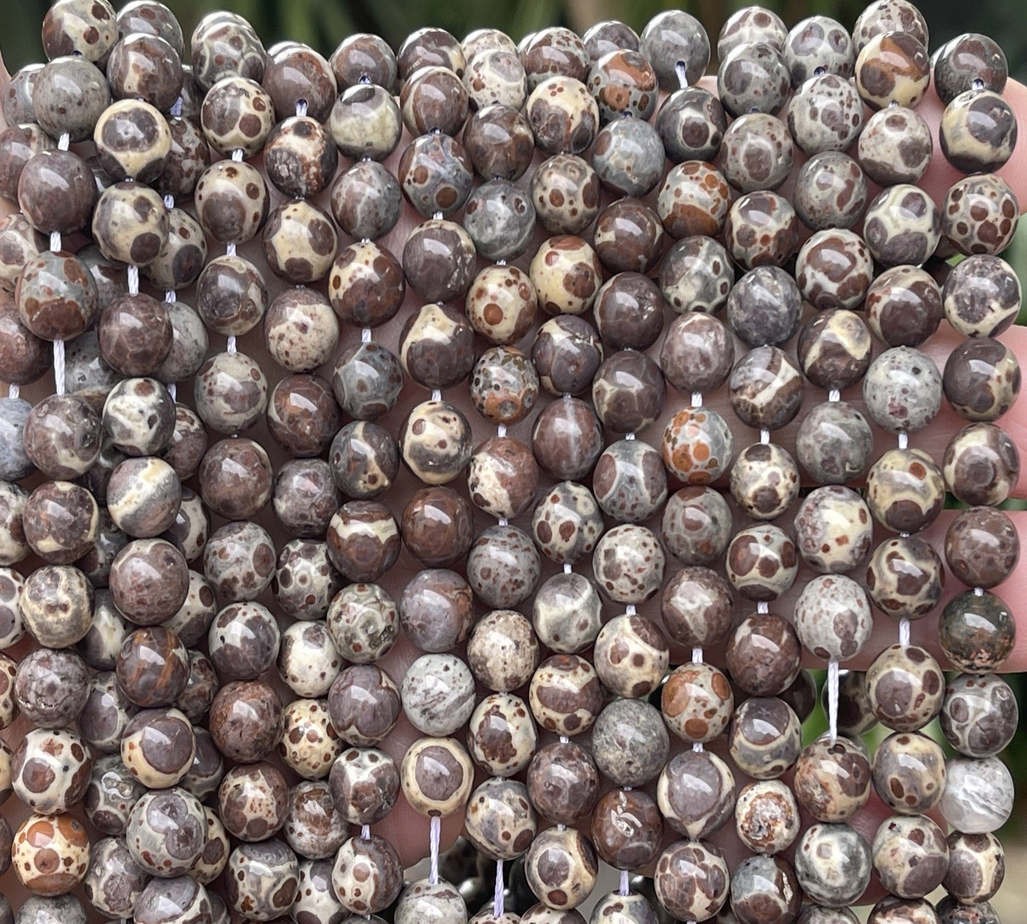 Astroite Jasper 8mm round natural gemstone beads 15.5" strand - Oz Beads 