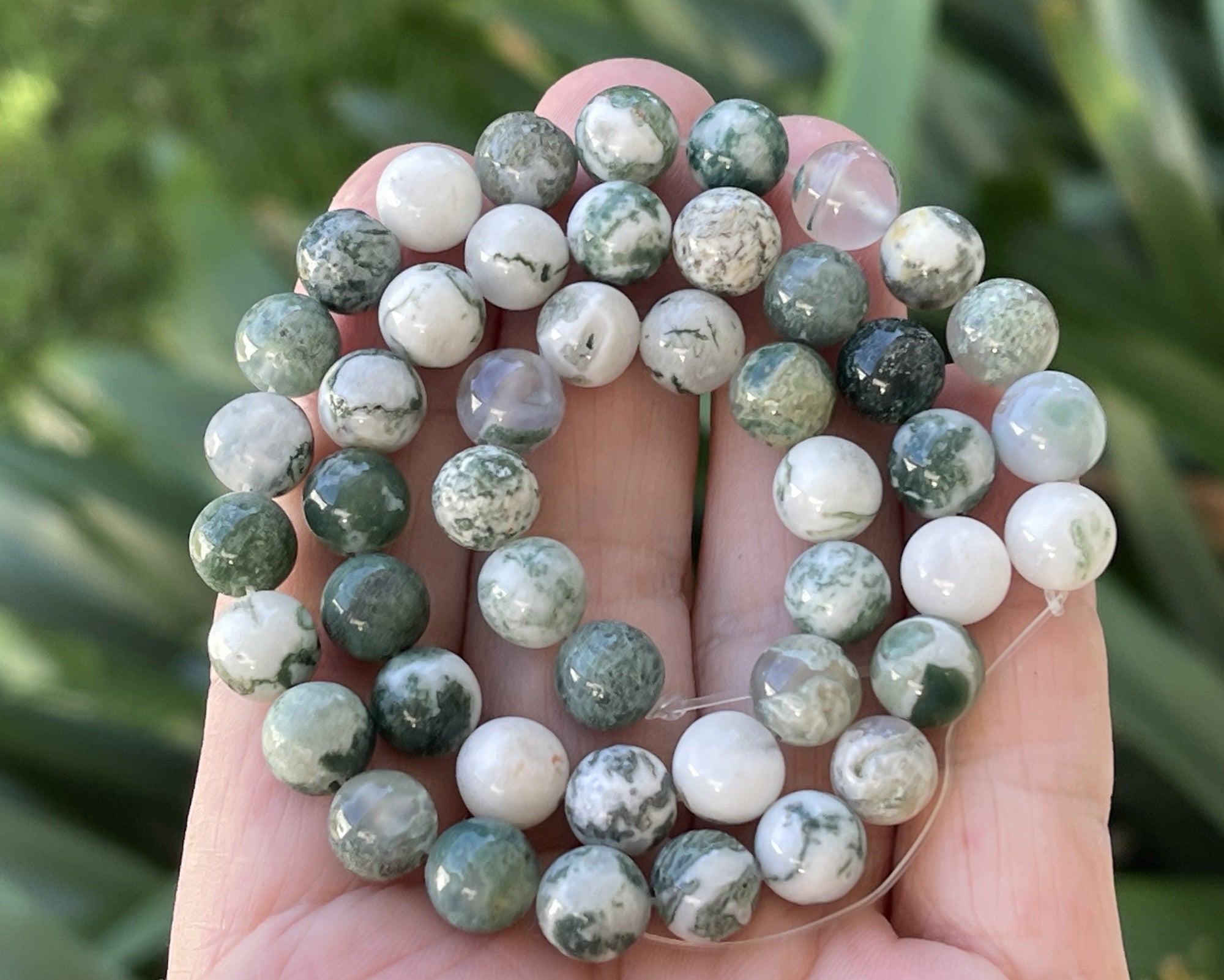 Tree Agate 8mm round natural gemstone beads 15" strand - Oz Beads 