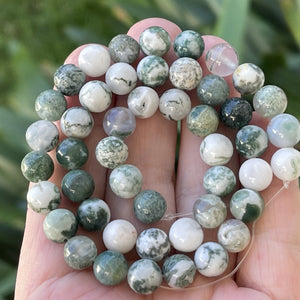 Tree Agate 8mm round natural gemstone beads 15" strand - Oz Beads 